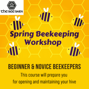 Spring Beekeeping Workshop Cavan Ireland Lough Sheelin