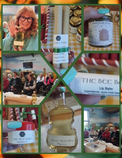 Women’s Shed group enjoying a hands-on beekeeping experience at The Bee Barn, exploring the role of bees, pollination, and sustainable beekeeping practices.