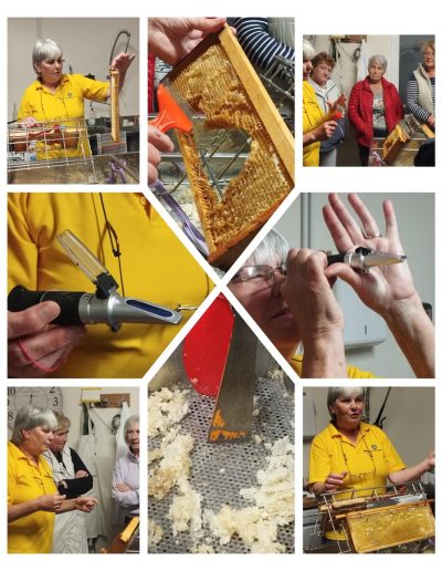 Members of a Women’s and Men's Shed groups participating in an educational and hands-on beekeeping workshop at The Bee Barn, learning about bees and honey production.