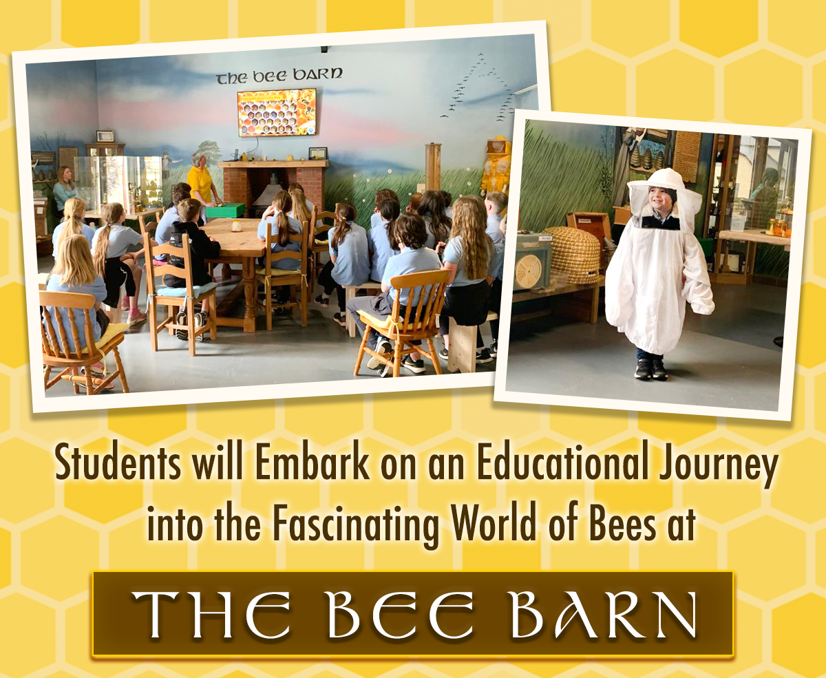 Science Week at The Bee Barn indoor beekeeping workshop where students explore the anatomy, life cycle, and importance of bees in an interactive learning environment.
