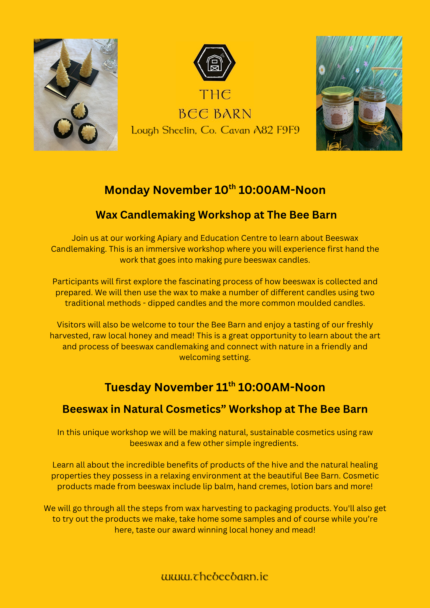 Blurb of two workshops offered by The Bee Barn in conjunction with Science Week 2025 