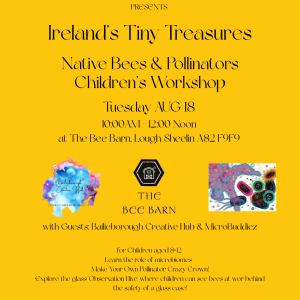 Ireland's Tiny Treasures: Native Bees & Pollinators Children's Workshop