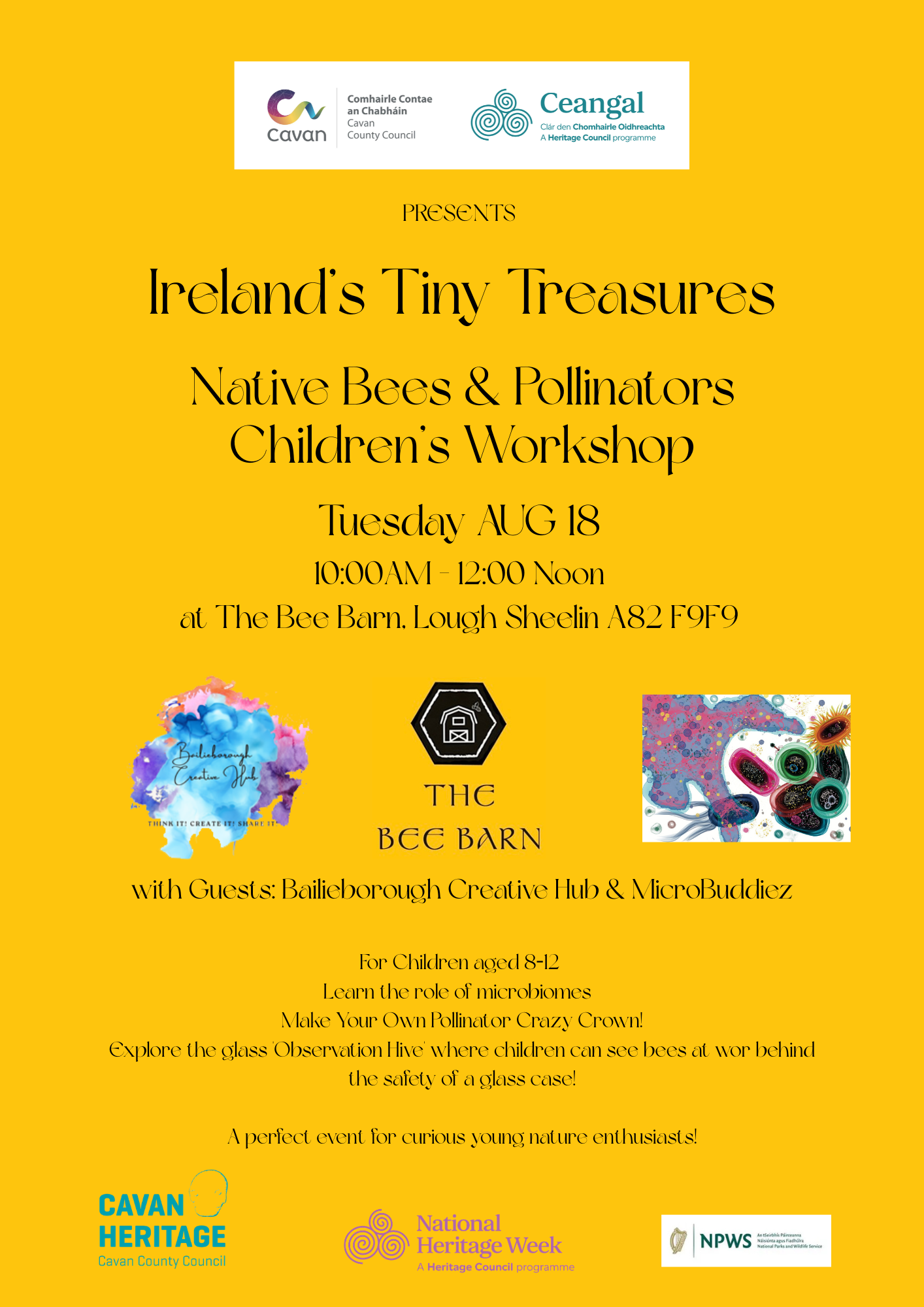 Ireland's Tiny Treasures: Native Bees & Pollinators Children's Workshop
